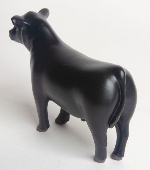 Angus Show Bull w/Nose Ring