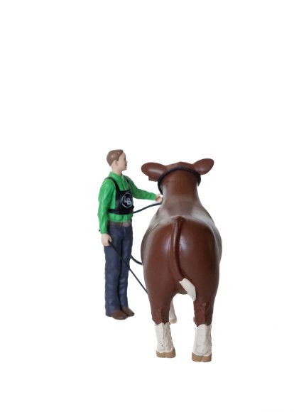 Cattle Showmen Kit: Boy Figurine and Rope Halter
