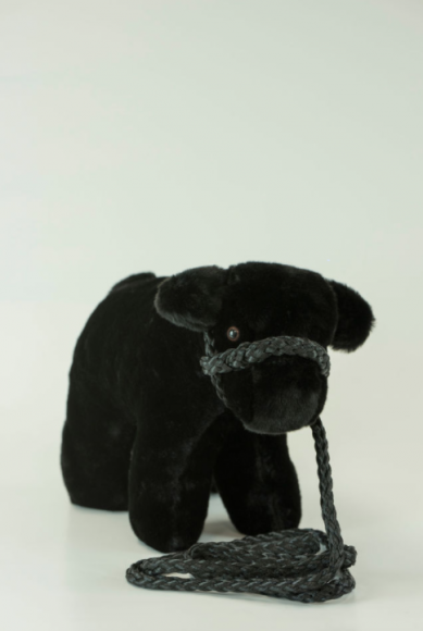 Medium Plush Angus
