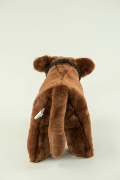 Medium Plush Red Angus
