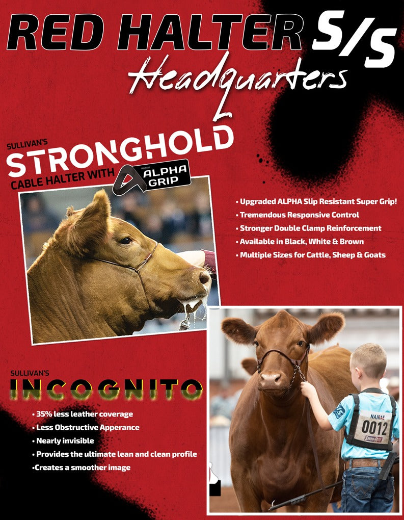 Incognito Show Halter - Brown