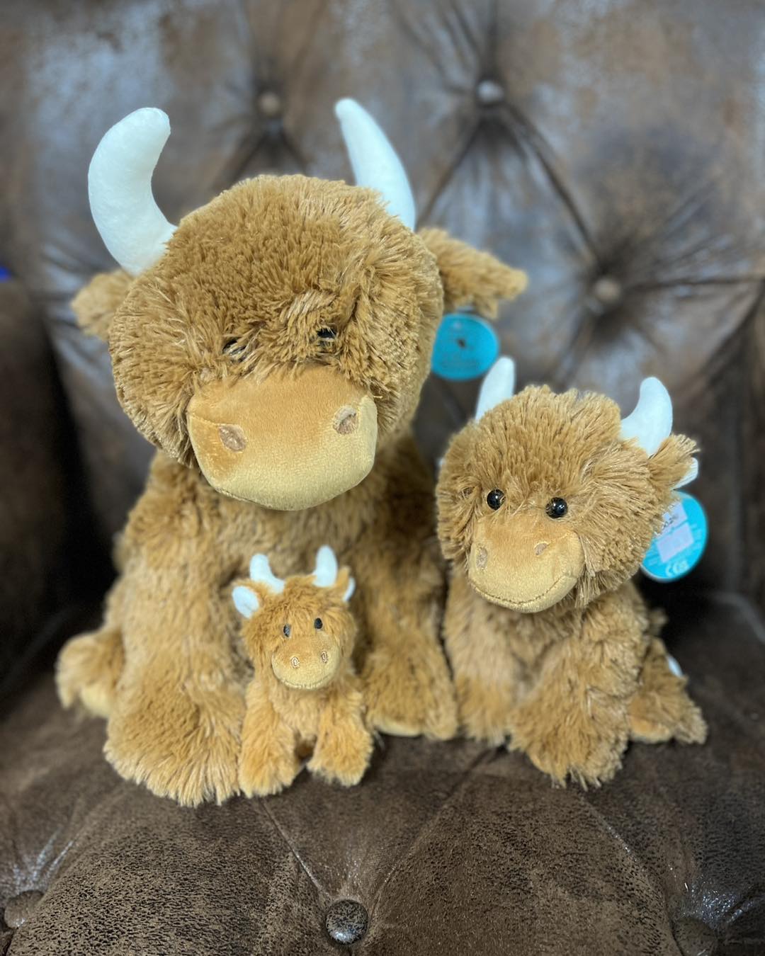 Stuffed Highland Cow - 3 sizes