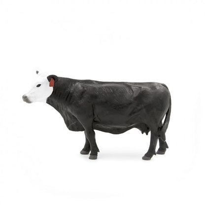 Black Baldy Cow