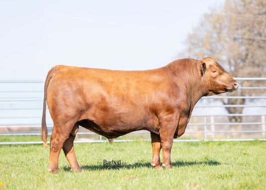 Amendment 513 007L