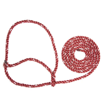 Rope Halter