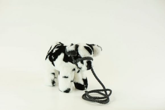 Medium Plush Blue Roan Shorthorn