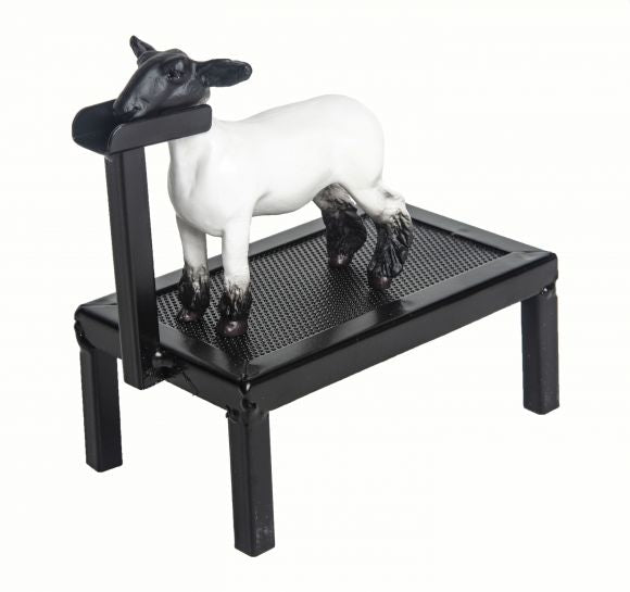 Sheep Fitting Stand – ShowMe Genetic Services