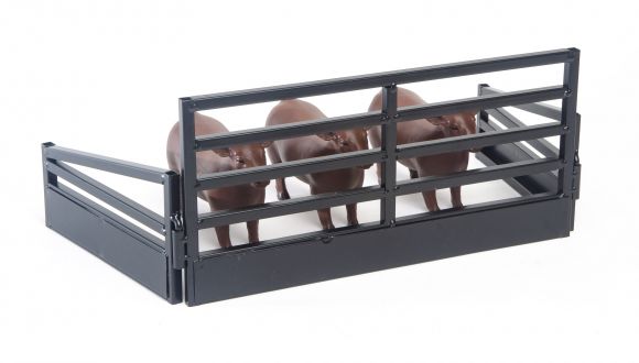 Show Cattle Stall Display Black