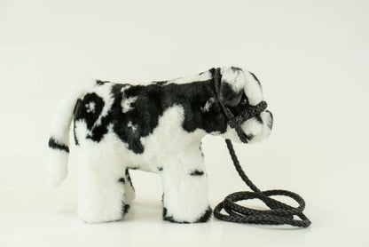 Medium Plush Blue Roan Shorthorn