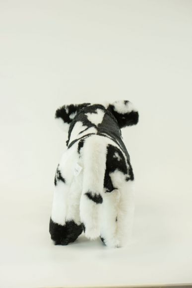 Medium Plush Blue Roan Shorthorn