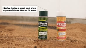 Revive Spray